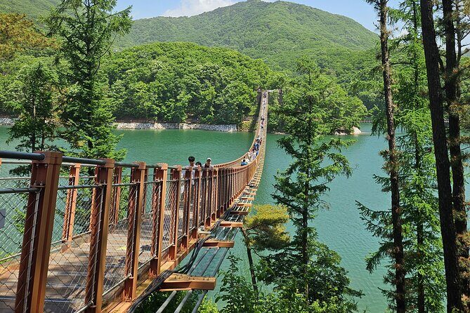 DMZ Tour (Exclusive offer: NK Defector meet up & Experience Hall) - The Value of the Tour