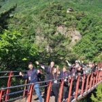 DMZ Tour from Seoul  Optional Suspension Bridge Experience - Practical Details: What You Need to Know