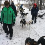 Dog Sledding - Who Is This Tour Best For?