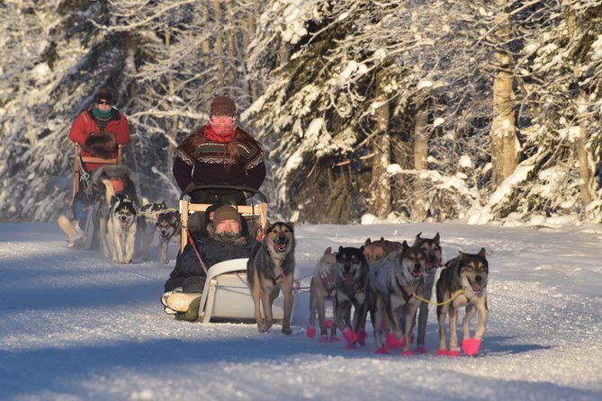 Dog Sledding and Mushing Experience in North Pole - A Closer Look at the North Pole Dog Sledding Experience
