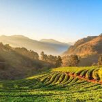 Doi Inthanon National Park Full Day Tour from Chiang Mai - A Deep Dive into the Doi Inthanon Full-Day Tour