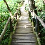 Doi Inthanon National Park including Lunch from Chiang Mai - The Experience in Practice