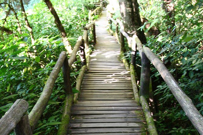 Doi Inthanon National Park including Lunch from Chiang Mai - The Experience in Practice