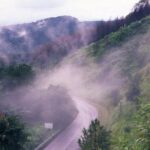 Doi Tung & Royal Villa Guided Cultural Tour - Who Will Love This Tour?