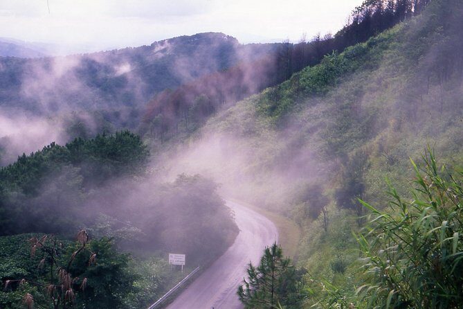 Doi Tung & Royal Villa Guided Cultural Tour - Who Will Love This Tour?