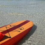 Dolphin and Manatee Adventure Tour of Naples with Florida History - Who Will Love This Tour?