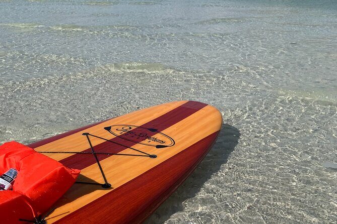 Dolphin and Manatee Adventure Tour of Naples with Florida History - Who Will Love This Tour?