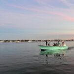 Dolphin and Nature Boat Excursion - A Detailed Look at the Dolphin and Nature Boat Excursion