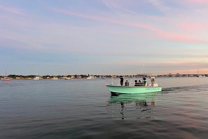 Dolphin and Nature Boat Excursion - A Detailed Look at the Dolphin and Nature Boat Excursion