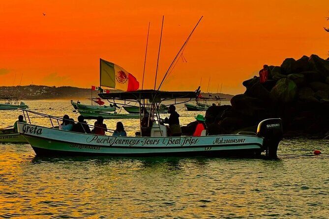 Dolphin and Whale Watching Boat Trip in Puerto Escondido - In-Depth Review