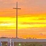 Dolphin and Wildlife History Tour - Final Thoughts