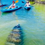 Dolphin, Manatee and Sea Turtle Kayak Adventure - Critical Details for Planning