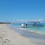 Dolphin /Shelling/Snorkeling tours Private Charters - Authentic Traveler Experiences