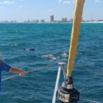 Dolphin Sightseeing Tour on The Footloose Catamaran from Panama City Beach - Who Should Book This Tour?