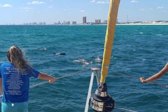 Dolphin Sightseeing Tour on The Footloose Catamaran from Panama City Beach - Who Should Book This Tour?