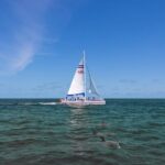 Dolphin Watch & Harbor Tour in Historical St. Augustine - Final Thoughts