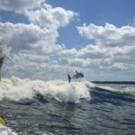 Dolphin Watching aboard the Cold Mil Fleet - An In-Depth Look at the Dolphin Cruise Experience