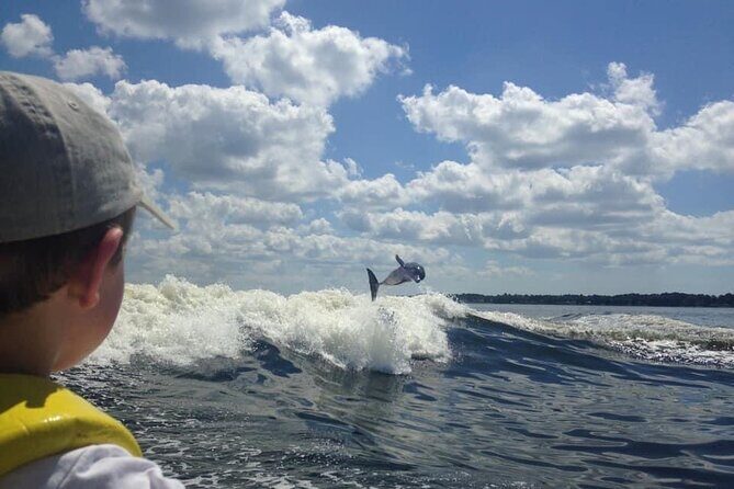 Dolphin Watching aboard the Cold Mil Fleet - An In-Depth Look at the Dolphin Cruise Experience