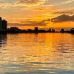 Dolphin Watching Tour in Orange Beach - The Sum Up