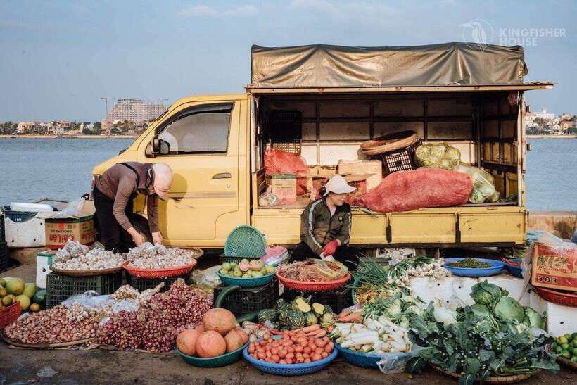 Dong Hoi: Half-Day Cycling Tour with Street Food Tasting - Why This Tour Works Well