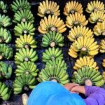 Dong Hoi Sightseeing and Street Food Bike Tour - Why This Tour Offers Value and Unique Experiences