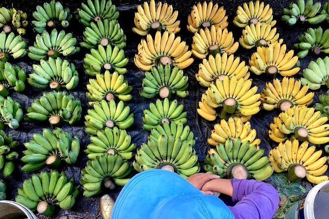 Dong Hoi Sightseeing and Street Food Bike Tour - Why This Tour Offers Value and Unique Experiences