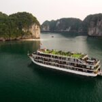 Doris Cruise 5 star cruise 3 days visiting Halong - Lan Ha Bay - Authentic Experiences and Practical Details