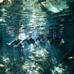 Dos Ojos Cenote VIP Private Tour  Snorkeling & Mayan Lunch - Key Points