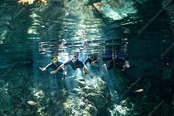 Dos Ojos Cenote VIP Private Tour  Snorkeling & Mayan Lunch - Key Points
