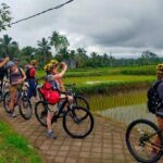 Down Hill Cycling in Bali Country Side with Local - Why Choose This Tour?