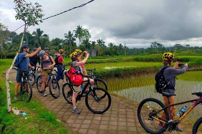 Down Hill Cycling in Bali Country Side with Local - Why Choose This Tour?