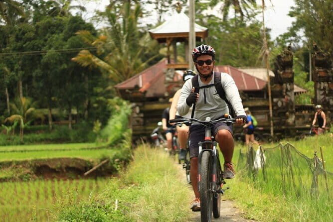 Downhill Jungle and Rice Terrace Cycling Tour - The Experience in Detail: What to Expect
