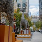 Downtown DC Holiday Tour: Lights, Decorations & Festive Cheer - Practicalities and What to Expect