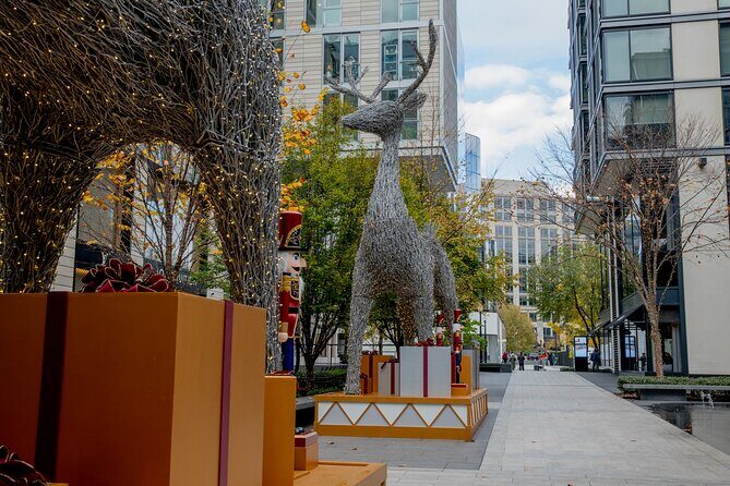 Downtown DC Holiday Tour: Lights, Decorations & Festive Cheer - Practicalities and What to Expect