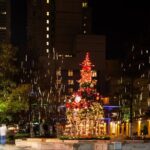 Downtown Holiday Lights, Food & Cocktail Tour - Who Would Enjoy This Tour?
