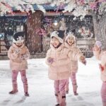 Dream World & Snow Town in Bangkok with Return Transfer & Lunch - The Value of This Tour