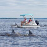 Drive your Own 2 Seat Fun Go Cat Boat on Marco Island - Analyzing the Cost & Value