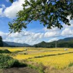 Driving Support in Akita - The Itinerary: What You Can Expect