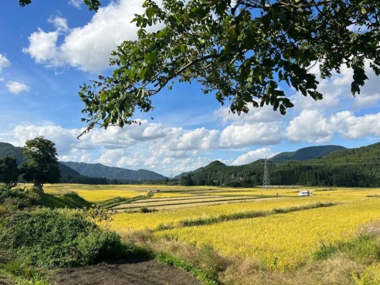 Driving Support in Akita - The Itinerary: What You Can Expect