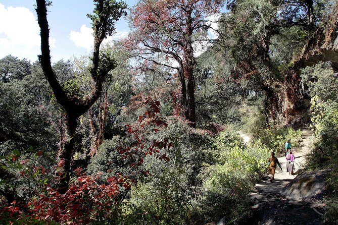 Druk Path Trek: Discover The Raw Natural Beauty of Bhutan - In-Depth Look at the Druk Path Trek