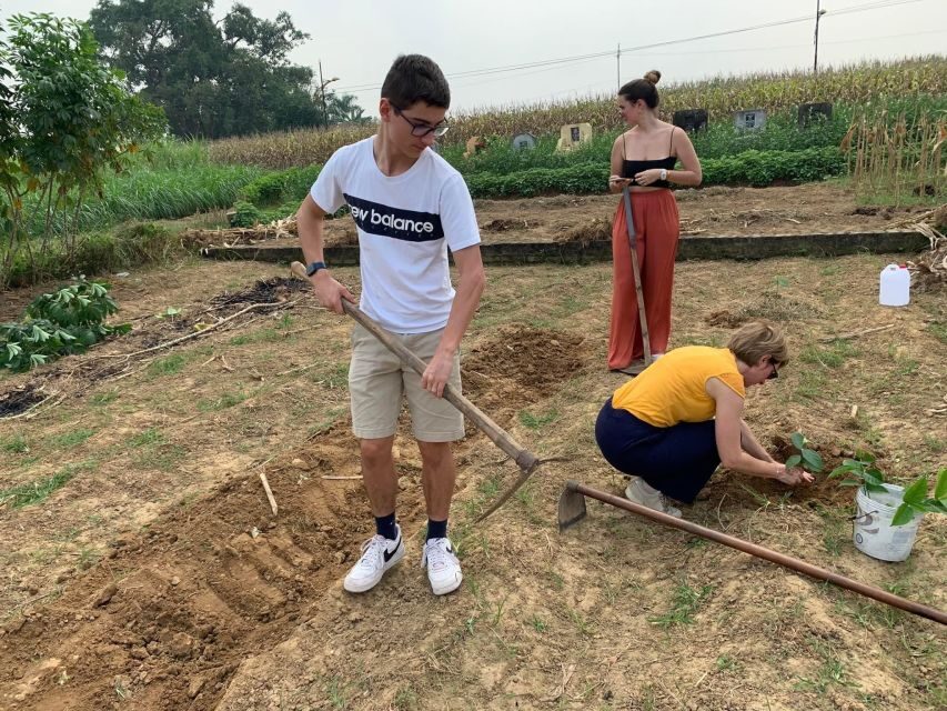 Duong Lam Ancient Village - A Closer Look at the Tour: What to Expect