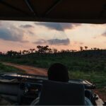 Durban: Big 5 Luxury Safari at an Award Winning Game Reserve  Zeiss Binoculars - Who Will Appreciate This Safari?