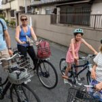 E-Bike Nara Highlights - Todaiji, Knives, Deer, Shrine - What to Expect from the Itinerary