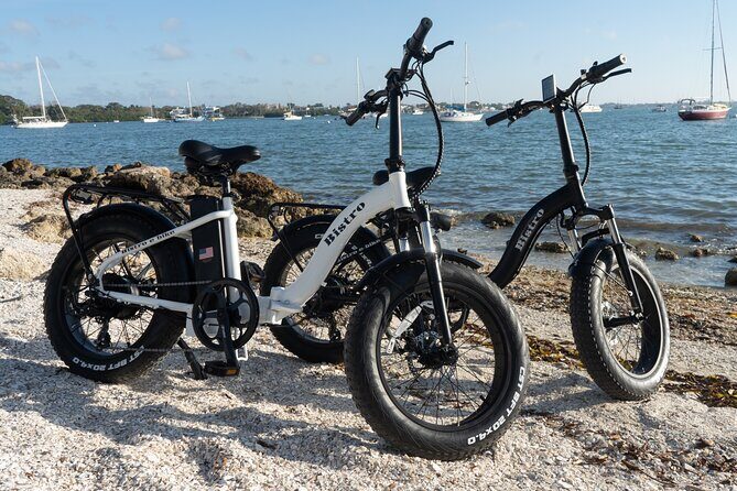 E-Bike Rental Adventure Siesta Key Florida - Who is This Tour Best For?