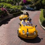 Early Bird San Francisco GoCar Tour - The Sum Up: Who Is This Tour Best For?