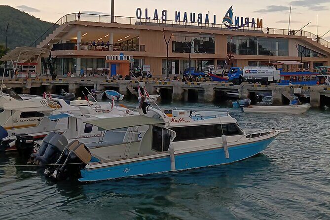 Early Bird Speedboat Group Tour : Explore Komodo Ahead of Crowds - Diving Into the Details: An In-Depth Review of the Komodo Speedboat Tour