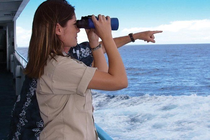 Early Bird Whale Watching Cruise from Waikiki - Who Would Love This Tour?