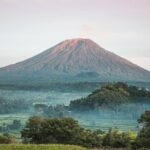 East Bali Tour: Gate of Heaven, Water Palace, Sleeping Gajah - What the Reviews Say