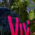 East Kelowna Full Day Guided Wine Tour With 5 Wineries - What’s Included and What to Expect