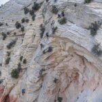 East Zion Via Ferrata & Rappelling Experience (1 Hr) - What to Expect from the Experience
